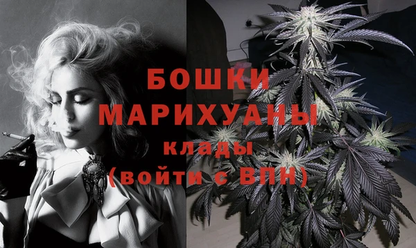 мдпв Касимов