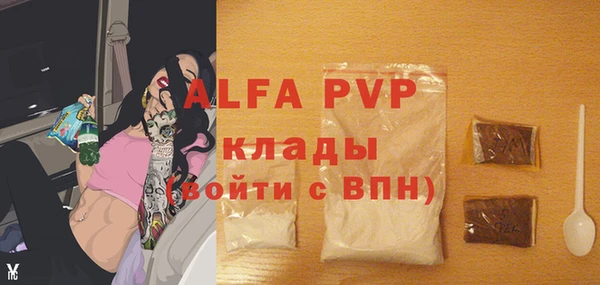 мдпв Касимов