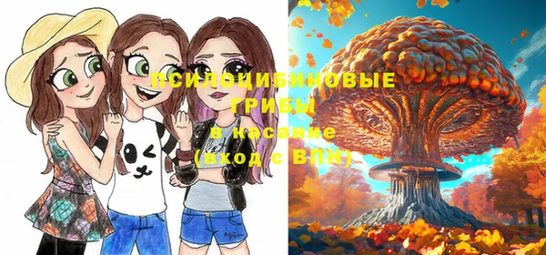 мдпв Касимов
