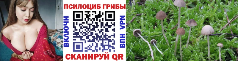 Купить  Радужный  Псилоцибиновые грибы Magic Shrooms 